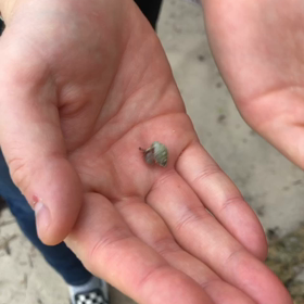 弾丸石垣島の旅・3の画像