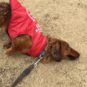 ２８６＄の巻の画像