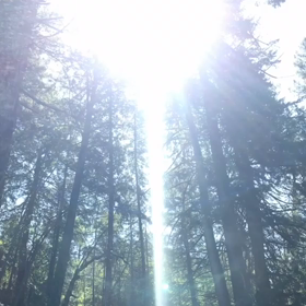 シャスタ山の神さま✨の画像