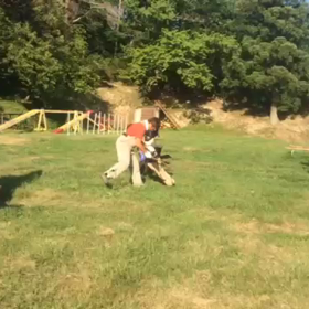 ニュート 防衛の画像