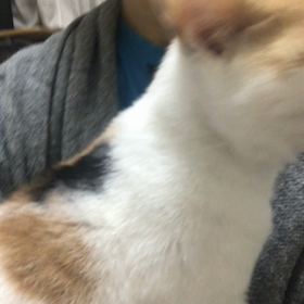 次から次へとの画像