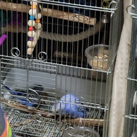 ちょっと楽しむの画像