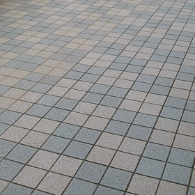 今日のクロちゃんの画像