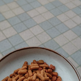 クロちゃんの画像