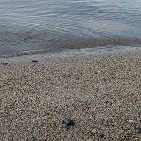 nao日記8月10日の画像