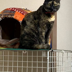 何かイタズラ考えてないですよね〜⁉️の画像