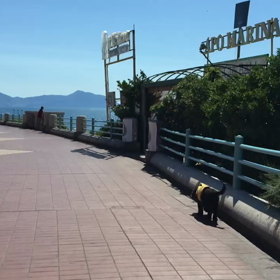 地中海に挑むの画像