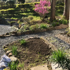 GW1番の思い出。元気一杯のまるの画像