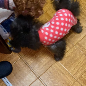 どっち⁉️の画像