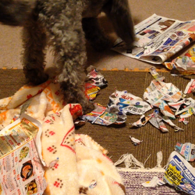 動画 ビリビリ(^◇^)の画像