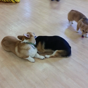 ③甥っ子 陽向くんが…動画編の画像