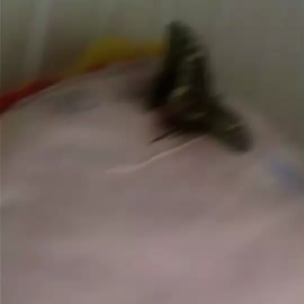 飛び立つの画像