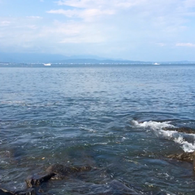 浄化の波動調整動画の画像