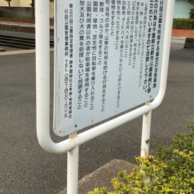 きょうのロボットの画像