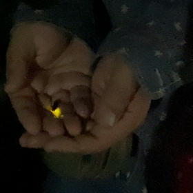 そんな時期なのねホータルコイの画像