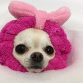 見たでしょー(//∇//)の画像