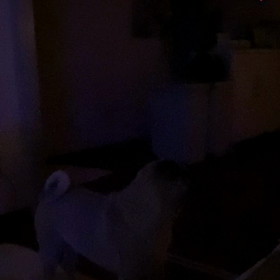 2019.11.27✩.*˚Happybirthday!!!Time✩.*˚の画像