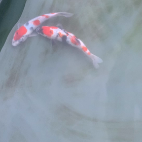 思わず‥の画像