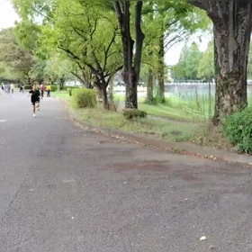 ミニ駅伝（中間点付近）⑤の画像