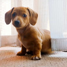 アフィリエイト初心者の時に悩んだコミュニケーションの壁についての画像