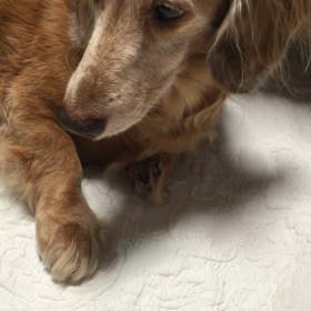 すずしいの画像