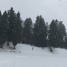 もしかしたら、与えられているのかもしれない。の画像