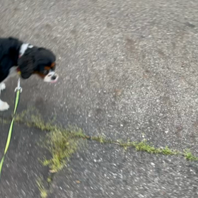 ■お隣さん♡■の画像