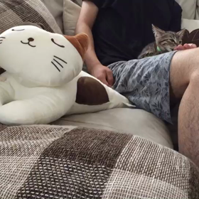 蛍ちゃん、小町ちゃん☺️の画像