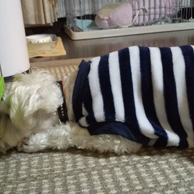 と、と、取れな〰️いの画像