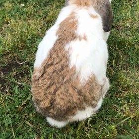 早めの公園の画像