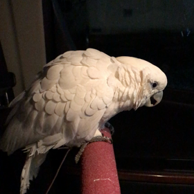 ドライブの画像