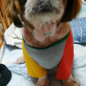 可愛い〜ほた♪の画像