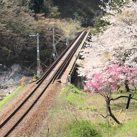 キヤ97.飛騨小坂工臨、渚の画像