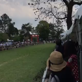 本日は  賀茂競馬の画像