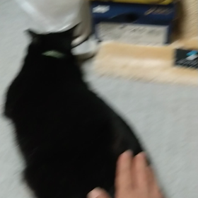 気持ちよか〜の画像