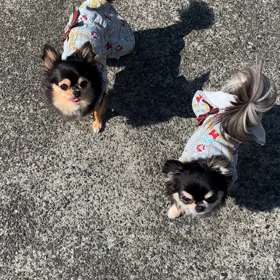 アイコンタクトの画像