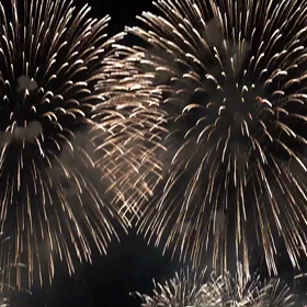 ぱぁーーーっと咲いての画像