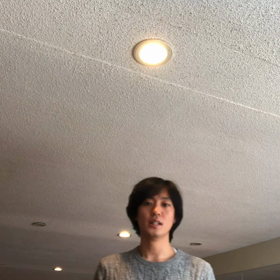 桜並木の道の上で選手権の画像