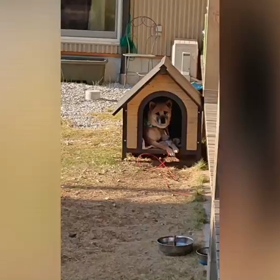 マイファミリーの画像