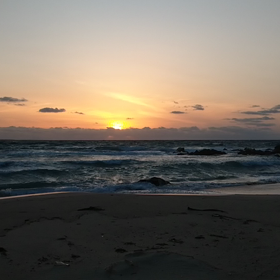 ちょうど、風が吹いたので…の画像