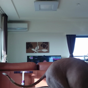 携帯いじっているとの画像