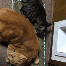 酔っ払い！？の画像