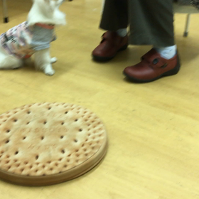 オレのにおいをつけるぜぇ〜。の画像