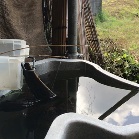 釣り日和の画像