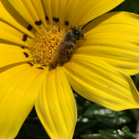 知ってますか？の画像