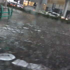 《雨》昨日の雨の画像