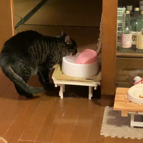 幸せのバトン続きの画像