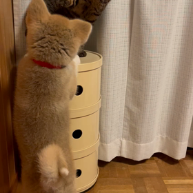 2022年6月16日(木)の画像