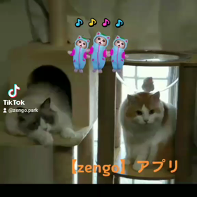 【zengo】アプリ 日本リリースの画像