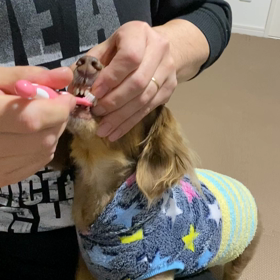 歯磨き♡の画像